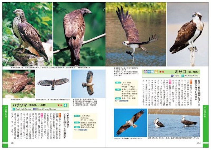 名前がわかる野鳥大図鑑 99種の鳴き声が聞けるCD付き 2