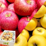 りんごのおすすめ人気ランキング【品種も紹介!2026年8月】 4