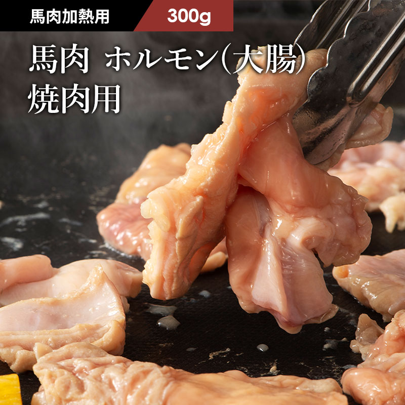 馬ホルモン 焼肉用 2