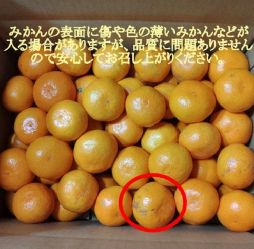 有田・庄助みかん 3
