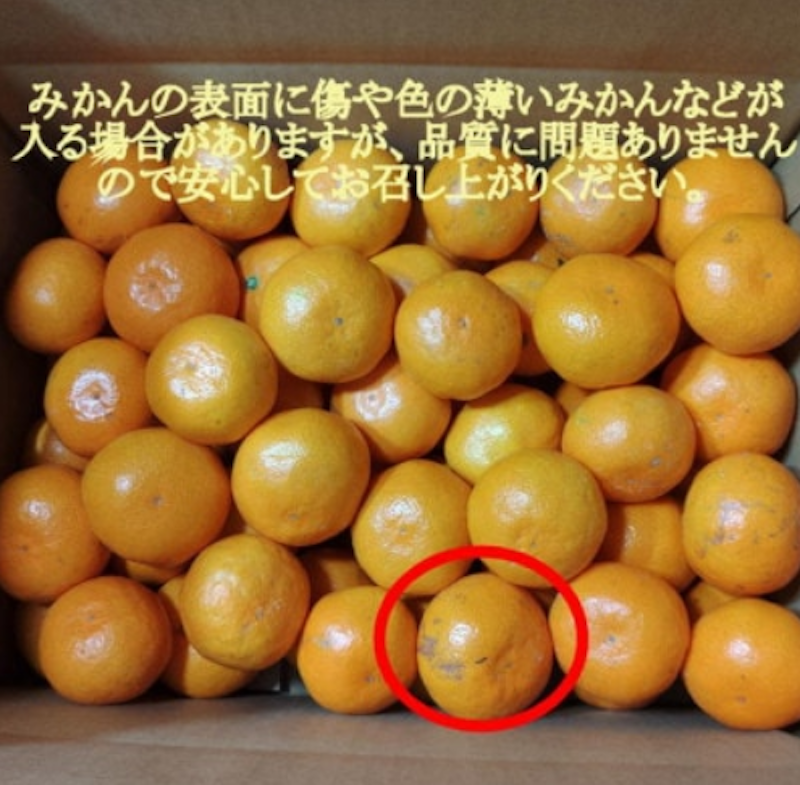 有田・庄助みかん 3