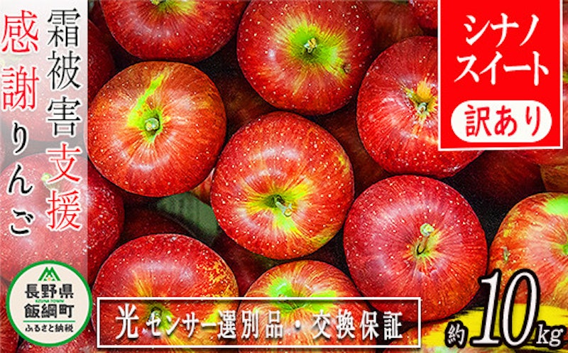 感謝りんご シナノスイート 訳あり 1