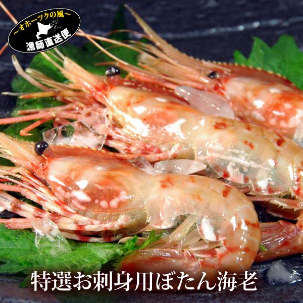 ぼたん海老 1