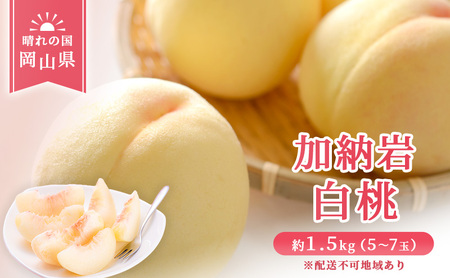 岡山県産 加納岩 白桃 1