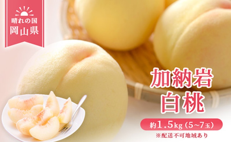 岡山県産 加納岩 白桃 1