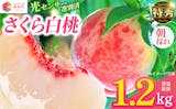 桃のふるさと納税返礼品のおすすめ人気ランキング【2026年8月】 5