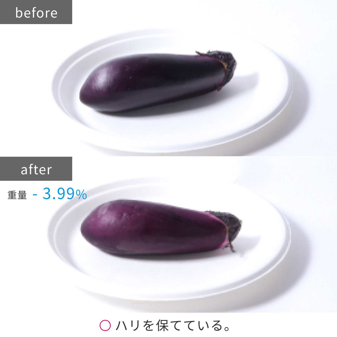 冷凍冷蔵庫 19