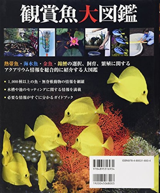21年 熱帯魚図鑑のおすすめ人気ランキング10選 Mybest 21年 熱帯魚図鑑のおすすめ人気ランキング10選 Mybest