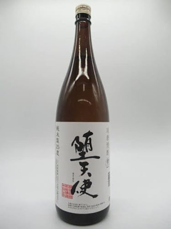 堕天使 1