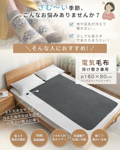 電気毛布 2