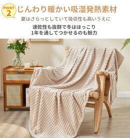 フランネル毛布 3