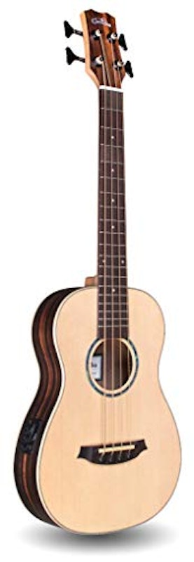 MINI II Bass 1