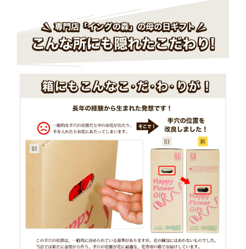 カーネーション 2