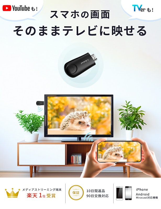 ミラーリング 2