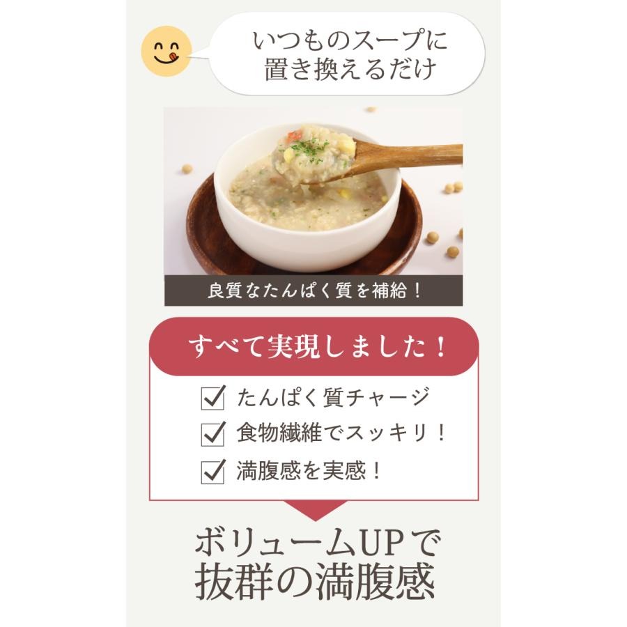 カラダ美めぐりプロテインスープ 6