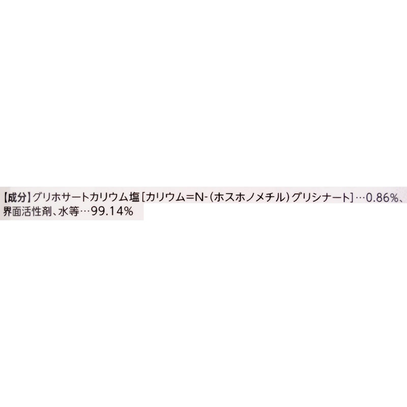ザッソージエース 2