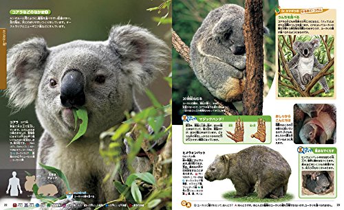 21年 動物 図鑑のおすすめ人気ランキング10選 Mybest