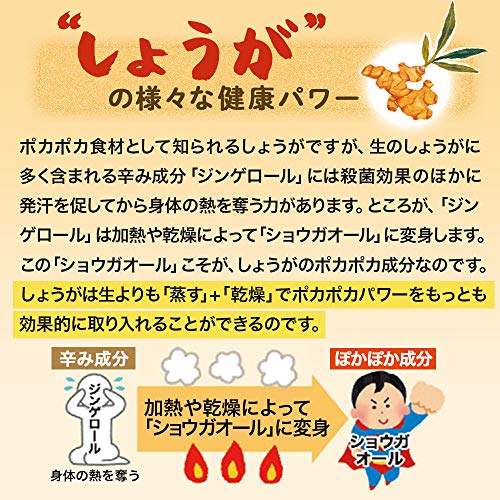 まるごと濃縮しょうが粒 2