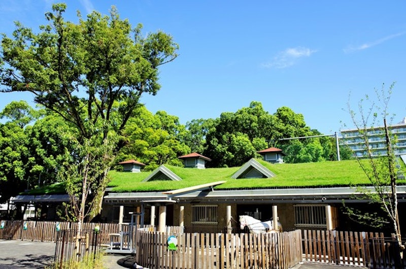 板橋こども動物園 1