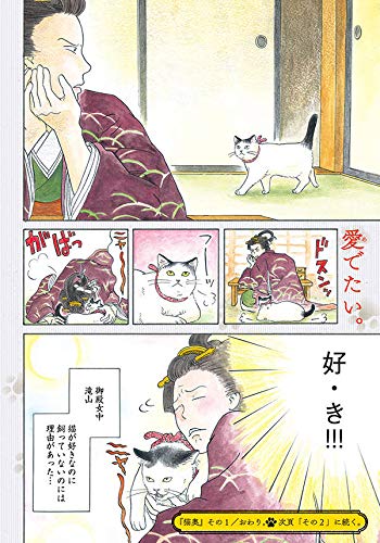 猫奥 5