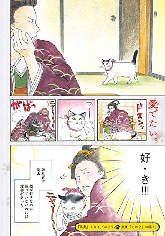 猫奥 5