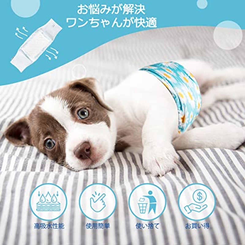 22年 犬用オムツのおすすめ人気ランキング35選 Mybest 22年 犬用オムツのおすすめ人気ランキング35選 Mybest