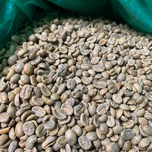コーヒー生豆 コスタリカ タラス ハニー 1