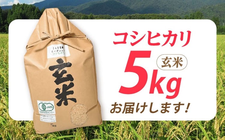 滋賀県産 JAS有機オーガニック コシヒカリ 玄米 7