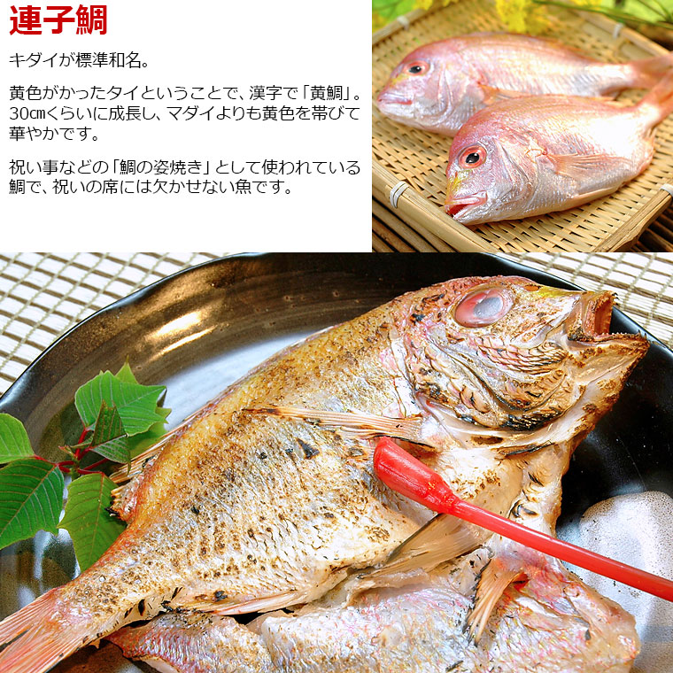 干物と西京漬7種セット 6