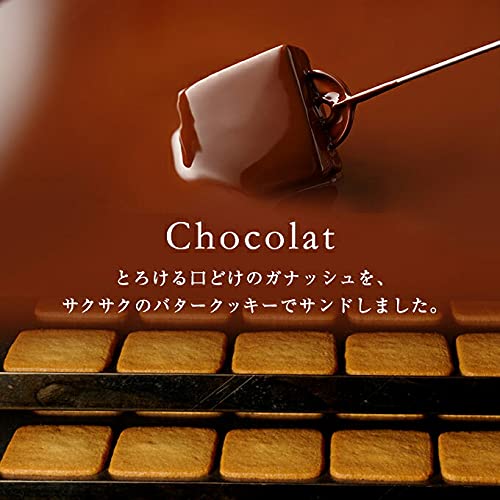 VANILLABEANS ショーコラ＆パリトロ8個入 5
