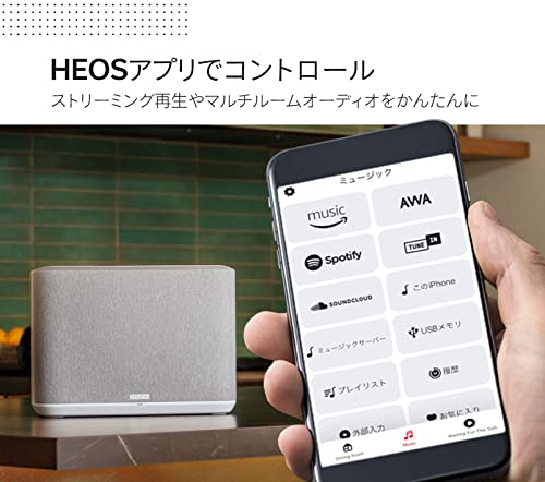 DENON HOME 250 5