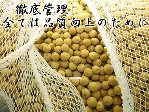 国産かりんこ梅 6