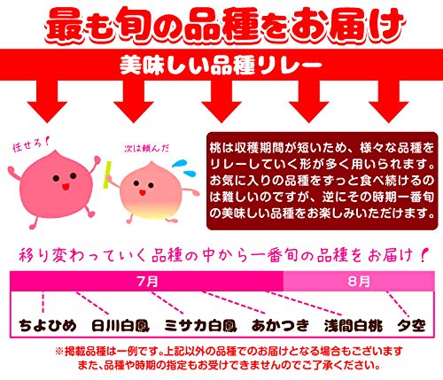 笛吹の桃・特大 4