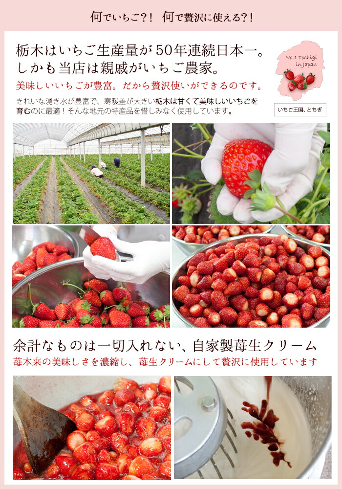 うさぎちゃんのケーキ 6