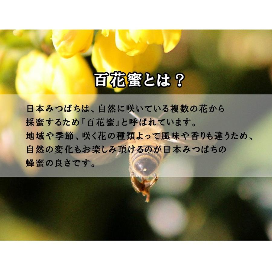菌ちゃんげんきっこ 9