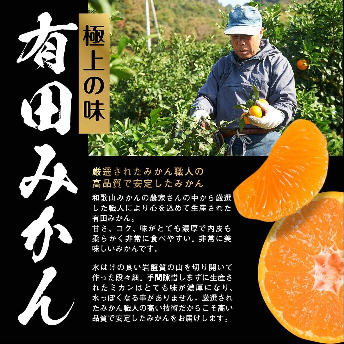 有田みかん 青秀 2