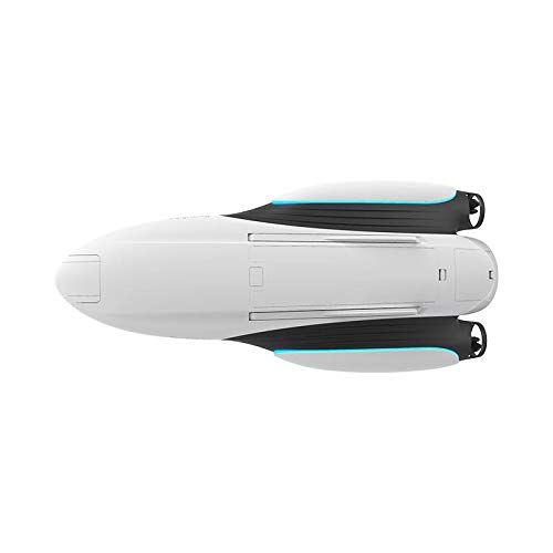 PowerDolphin 1