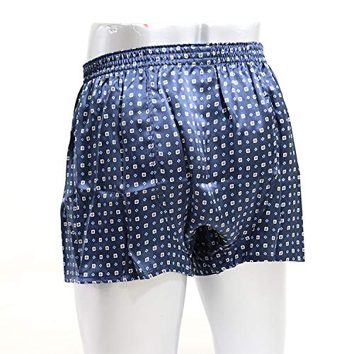 シルクトランクス 4