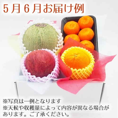 季節のフルーツボックス Dコース 4