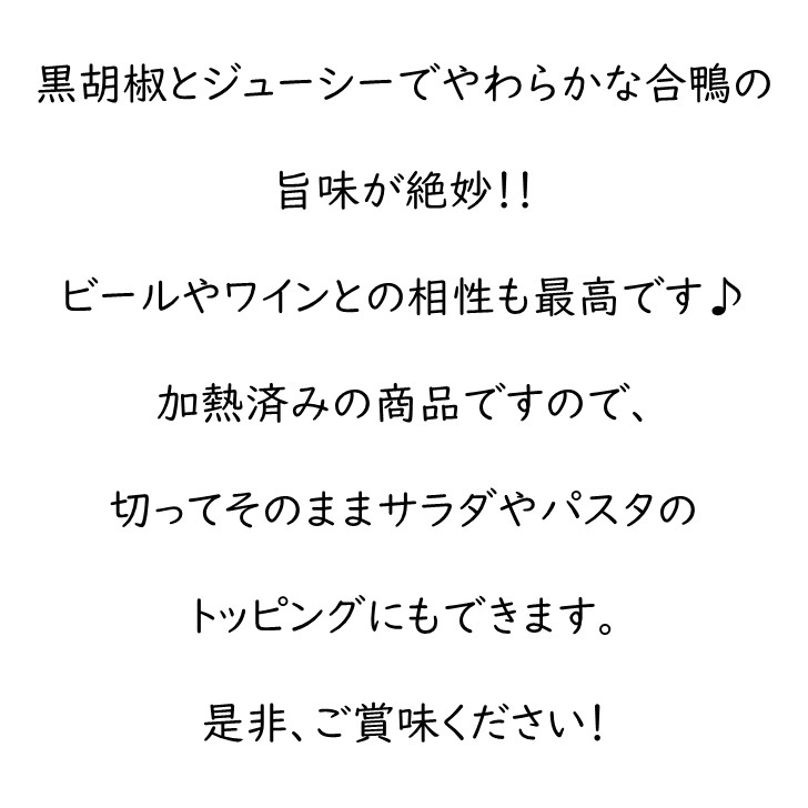 合鴨 パストラミ 3