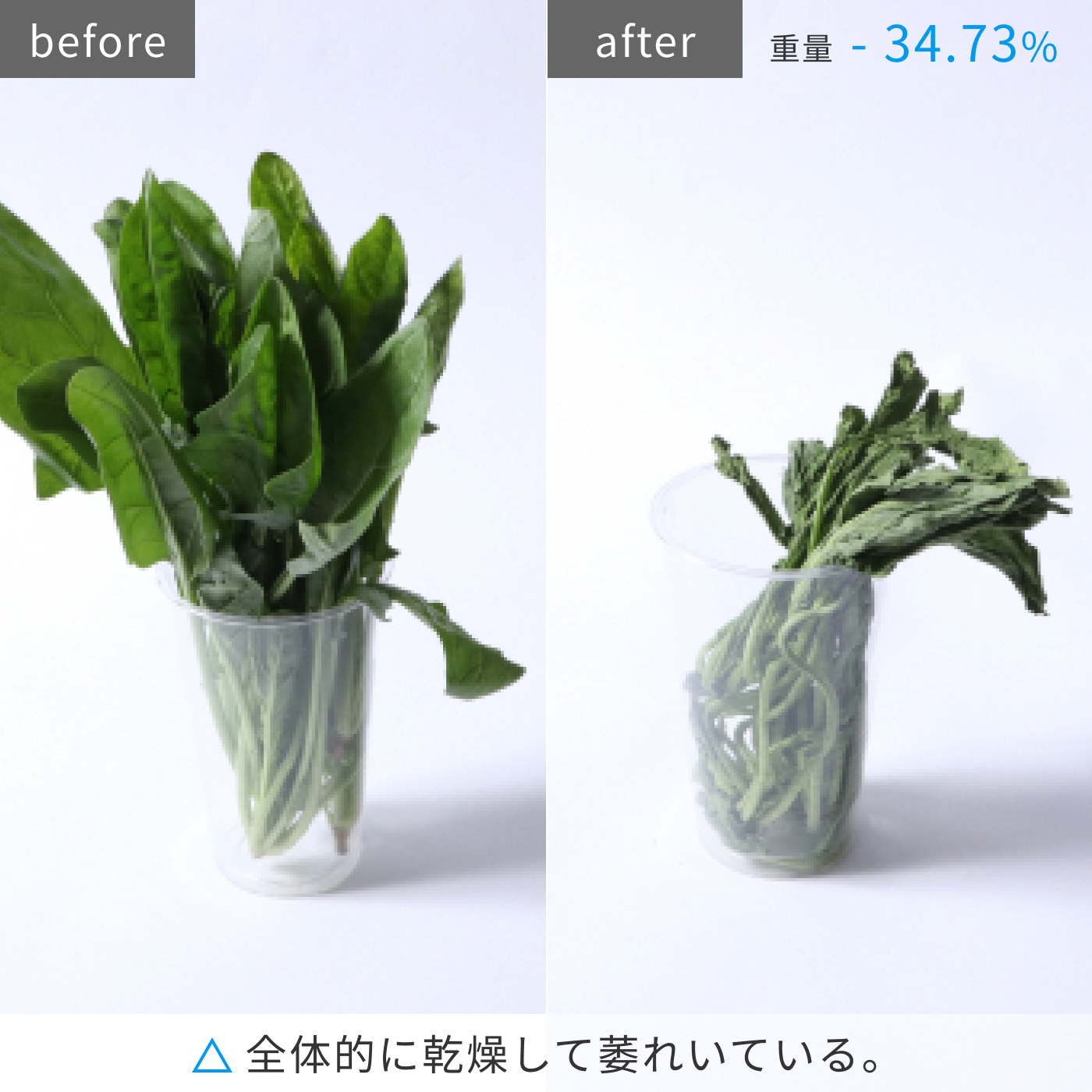 冷凍冷蔵庫 21
