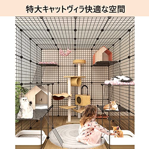 猫ケージ 2