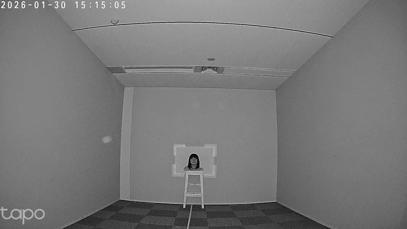 フルワイヤレスセキュリティカメラ 11