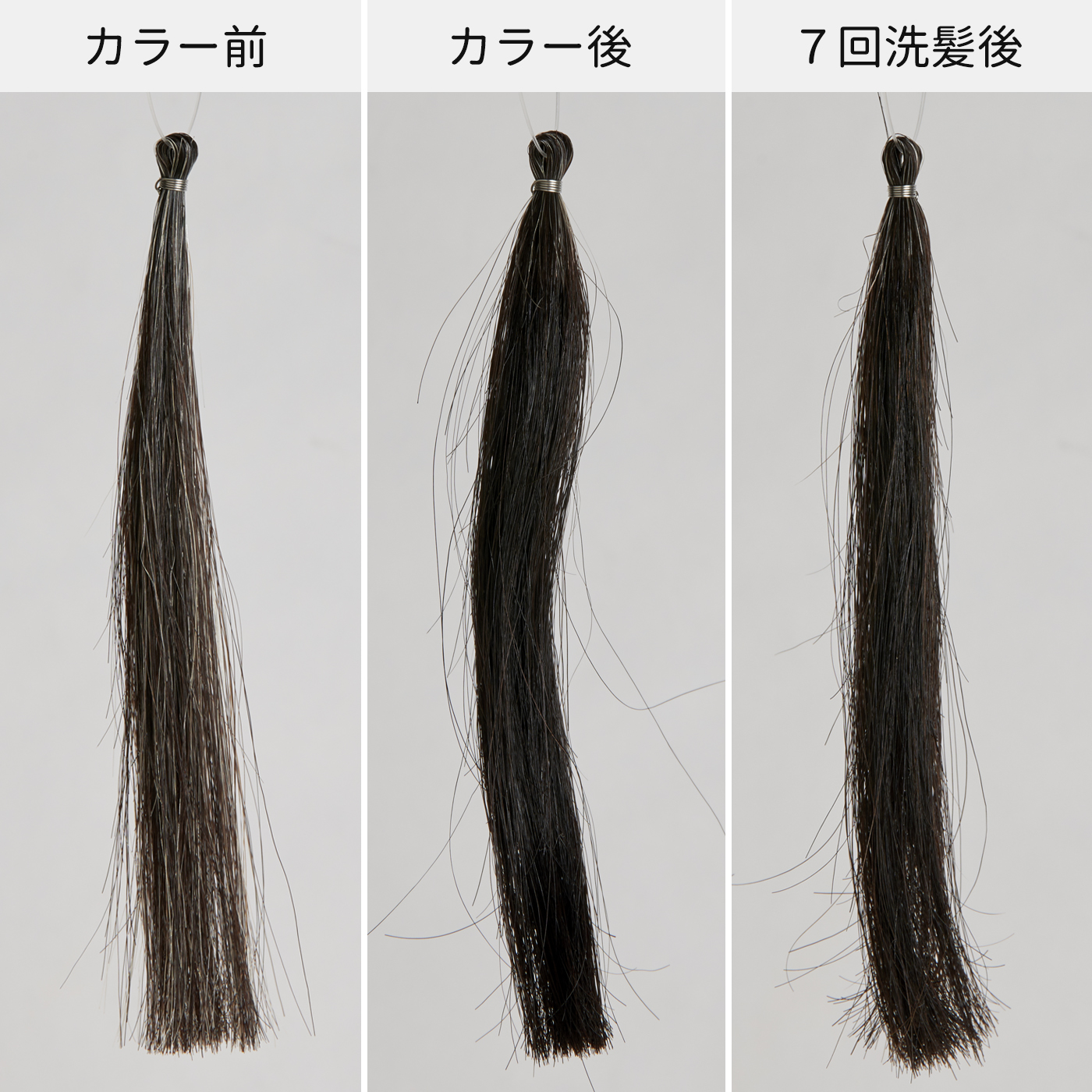 ベネフィーク ヘアカラー 6N5個　　3W5個 ベネフィーク / ヘアカラー 3Wの公式商品情報｜美容・化粧品情報は