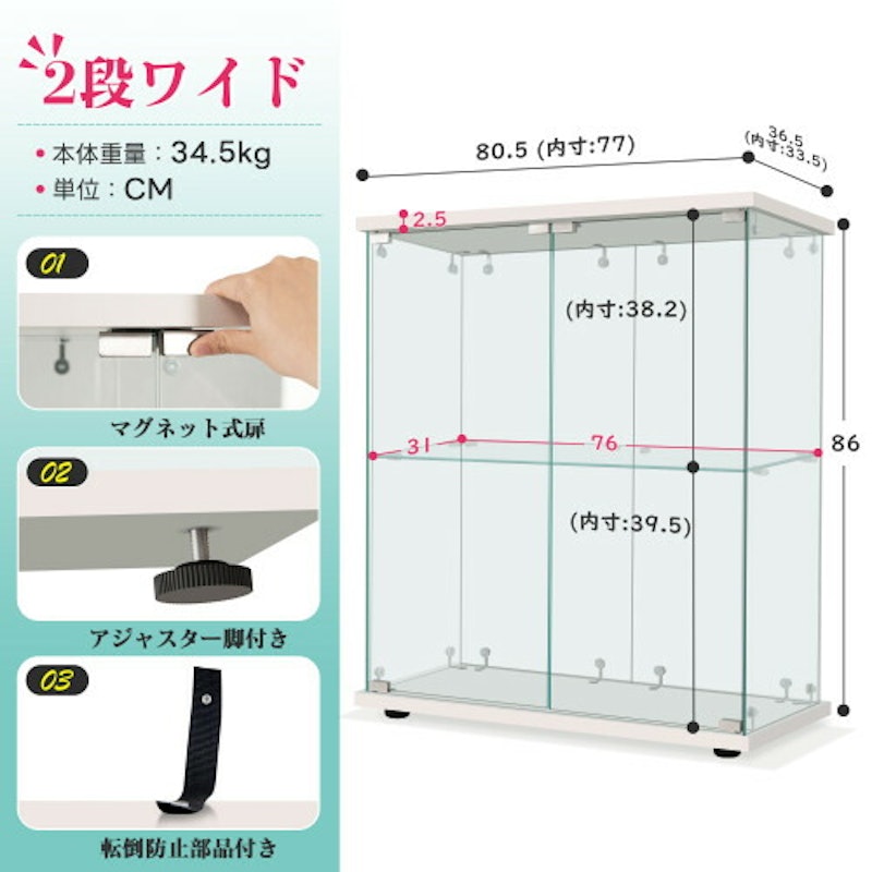 大型コレクションケース 5