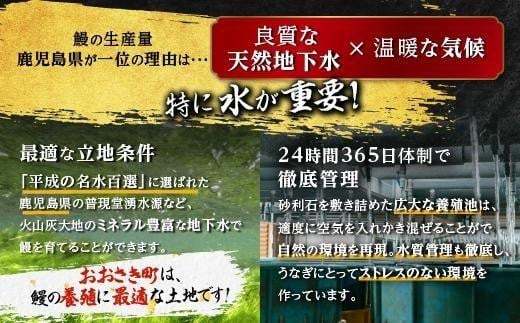 鹿児島県産 うなぎ長蒲焼 4