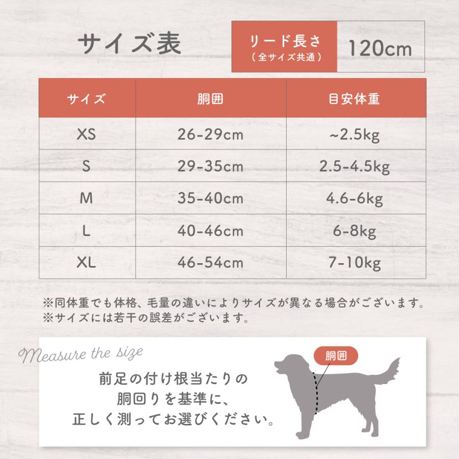 犬用ハーネス&リード 6