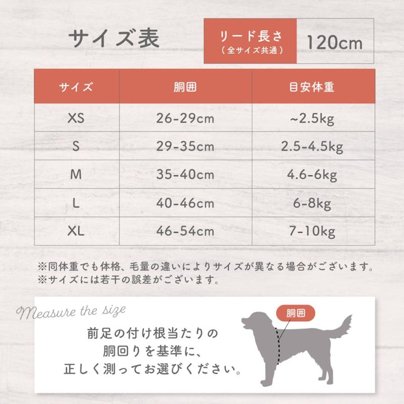 犬用ハーネス&リード 6