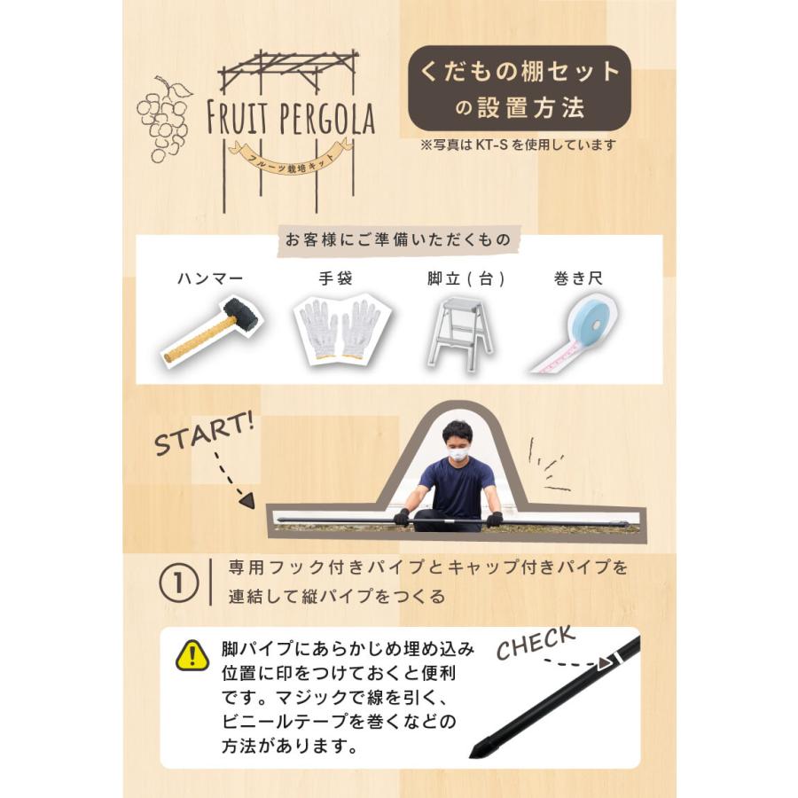 ガーデンアーチ 4