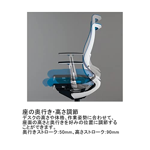 ファンクショナルタイプ 6